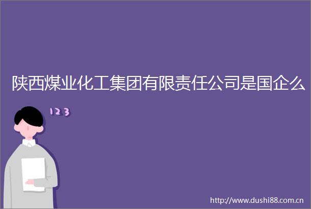 陕西煤业化工集团有限责任公司是国企么
