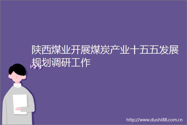 陕西煤业开展煤炭产业十五五发展规划调研工作