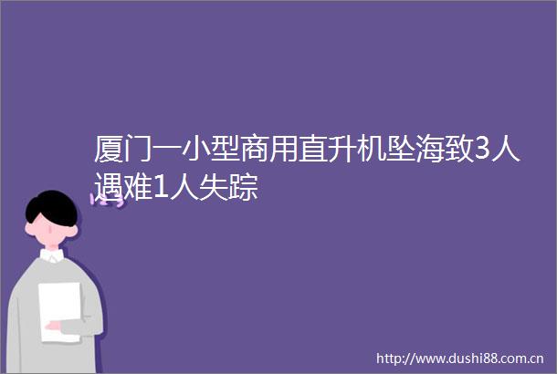 厦门一小型商用直升机坠海致3人遇难1人失踪