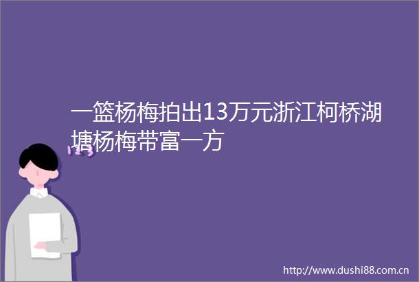 一篮杨梅拍出13万元浙江柯桥湖塘杨梅带富一方