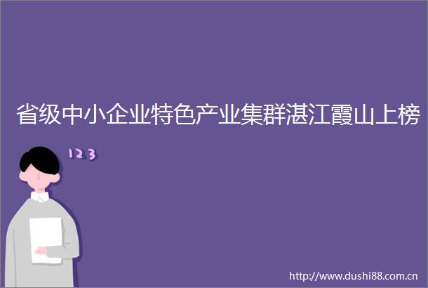 省级中小企业特色产业集群湛江霞山上榜