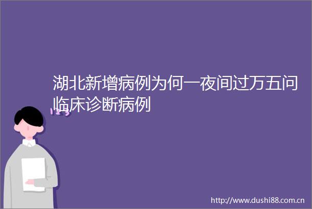 湖北新增病例为何一夜间过万五问临床诊断病例