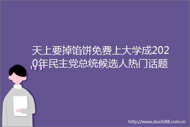 天上要掉馅饼免费上大学成2020年民主党总统候选人热门话题