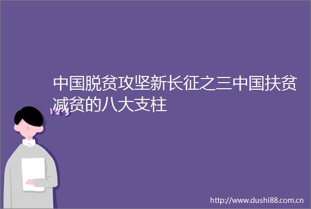 脱贫攻坚新长征之三扶贫减贫的八大支柱