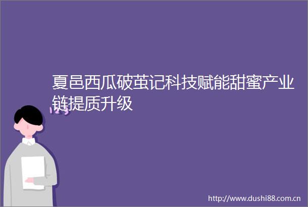 夏邑西瓜破茧记科技赋能甜蜜产业链提质升级