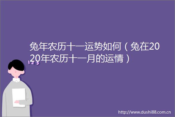 兔年农历十一运势如何（兔在2020年农历十一月的运情）