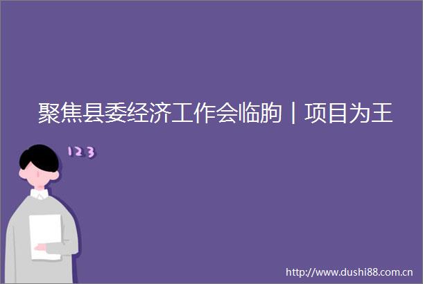 聚焦县委经济工作会临朐︱项目为王