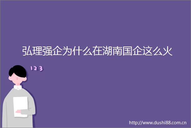 弘理强企为什么在湖南国企这么火