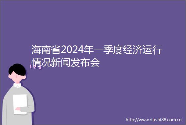 海南省2024年一季度经济运行情况新闻发布会
