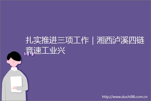 扎实推进三项工作｜湘西泸溪四链竞速工业兴