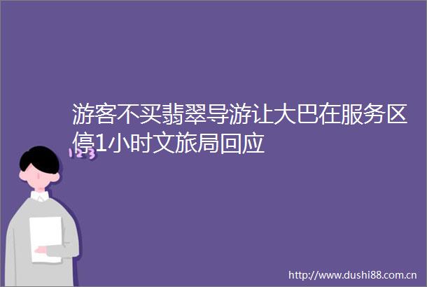游客不买翡翠导游让大巴在服务区停1小时文旅局回应