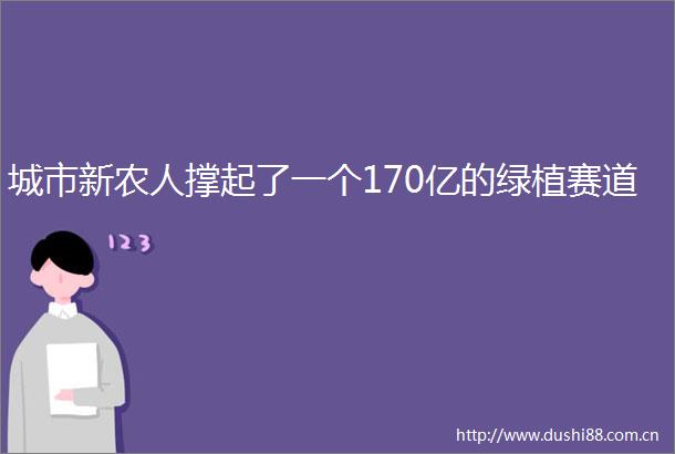 城市新农人撑起了一个170亿的绿植赛道