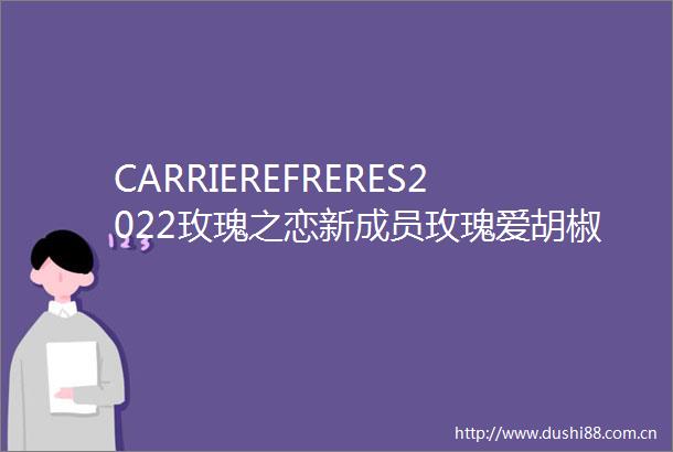 CARRIEREFRERES2022玫瑰之恋新成员玫瑰爱胡椒