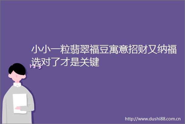 小小一粒翡翠福豆寓意招财又纳福选对了才是关键