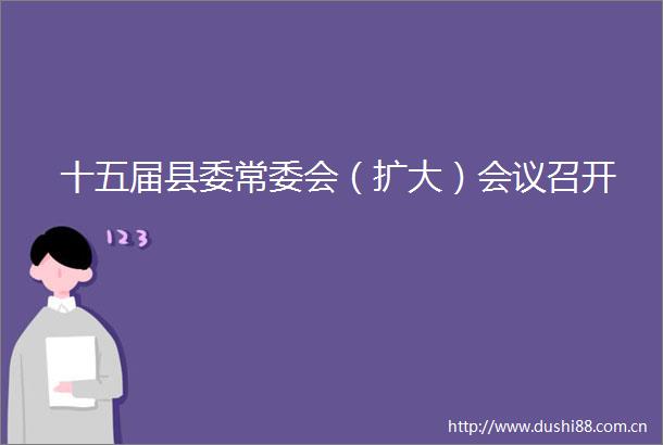 十五届县委常委会（扩大）会议召开