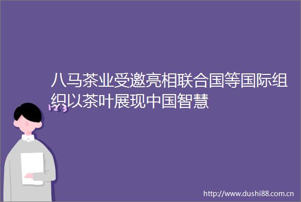八马茶业受邀亮相联合国等国际组织以茶叶展现智慧
