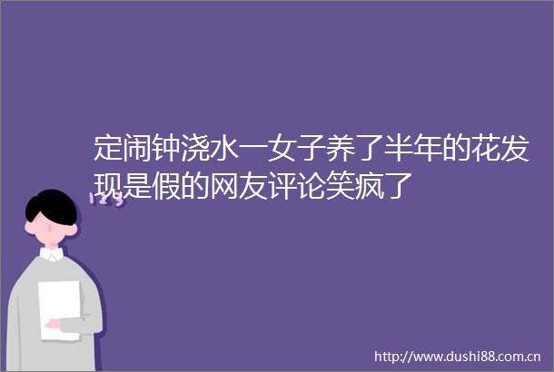 定闹钟浇水一女子养了半年的花发现是假的网友评论笑疯了