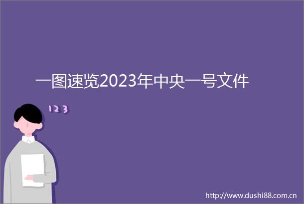 一图速览2023年中央一号文件