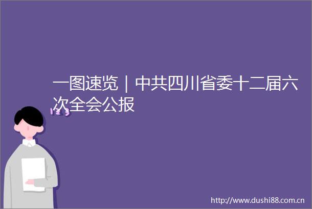 一图速览｜四川省委十二届六次全会公报