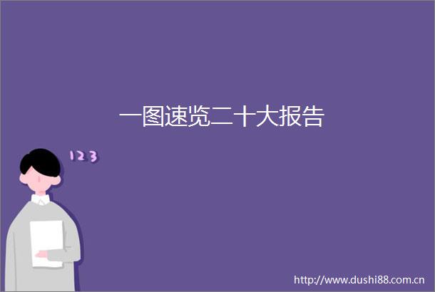 一图速览二十大报告