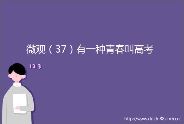 微观（37）有一种青春叫高考