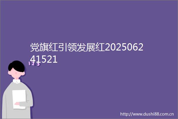 党旗红引领发展红202506241521