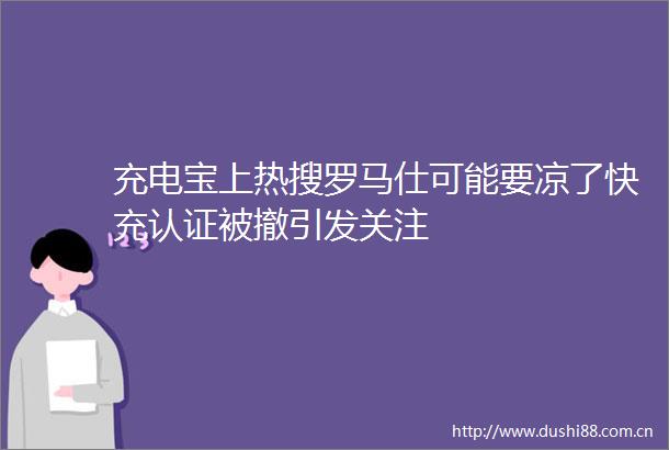 充电宝上热搜罗马仕可能要凉了快充认证被撤引发关注