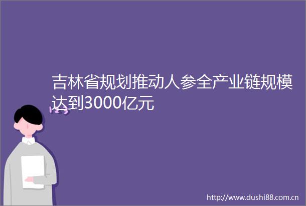 吉林省规划推动人参全产业链规模达到3000亿元
