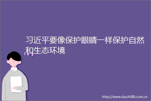 要像保护眼睛一样保护自然和生态环境