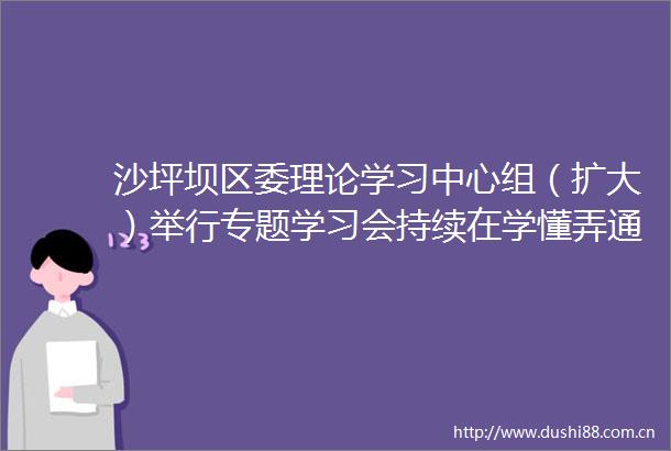 沙坪坝区委理论学习中心组（扩大）举行专题学习会持续在学懂弄通做实上下功夫把学习成果转化为实实在在的工作成效