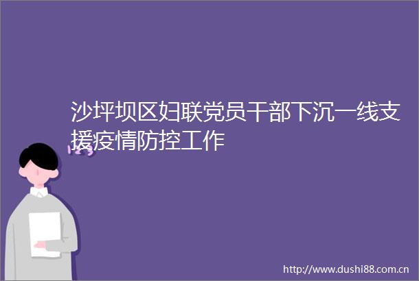 沙坪坝区妇联党员下沉一线支援疫情防控工作