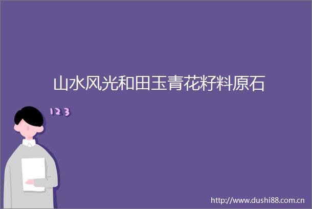 山水风光和田玉青花籽料原石