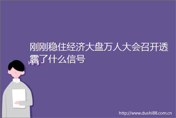 刚刚稳住经济大盘万人大会召开透露了什么信号