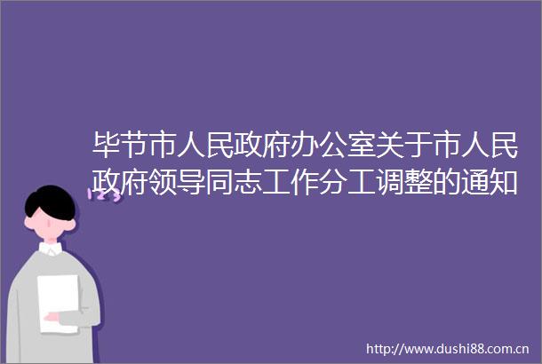 毕节市办公室关于市同志工作分工调整的通知（毕府办发〔2024〕4号）