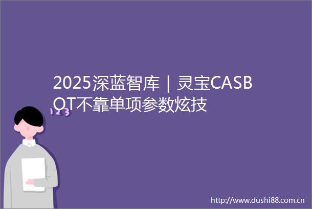 2025深蓝智库｜灵宝CASBOT不靠单项参数炫技