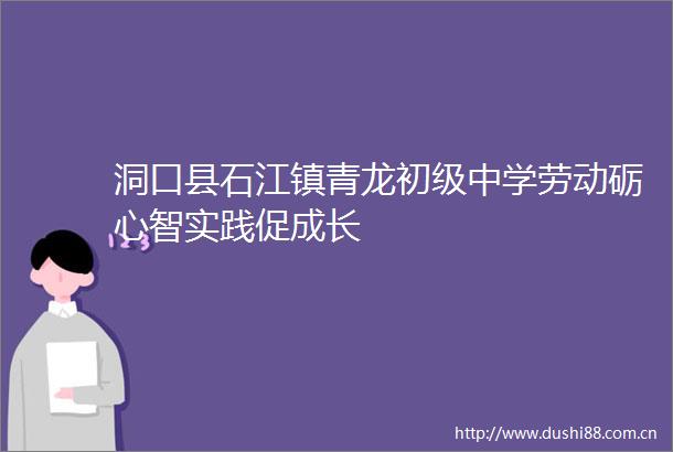 洞口县石江镇青龙初级中学劳动砺心智实践促成长