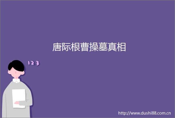 唐际根曹操墓真相