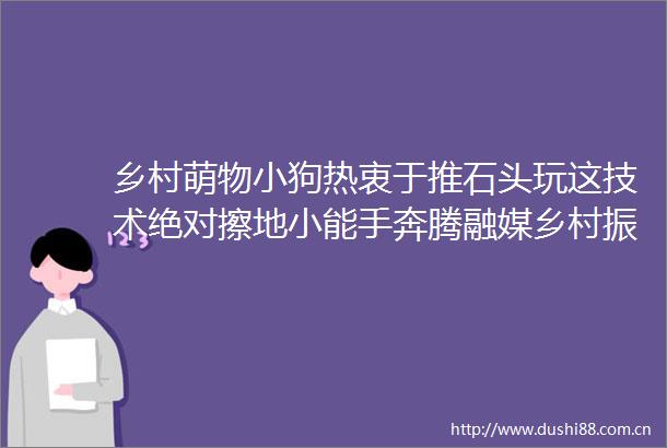 乡村萌物小狗热衷于推石头玩这技术绝对擦地小能手奔腾融媒乡村振兴的微博视频