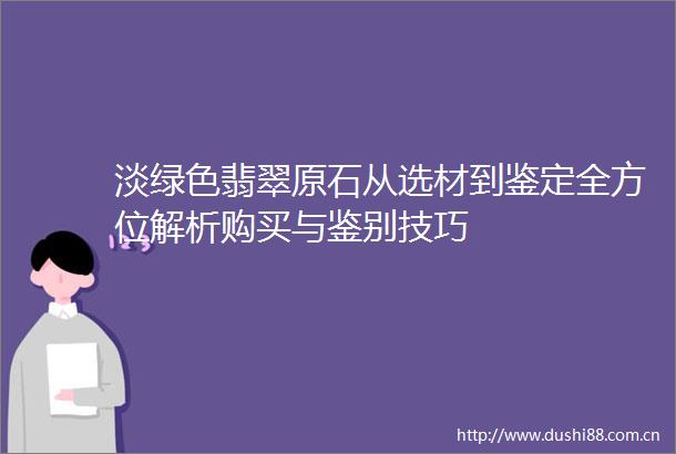 淡绿色翡翠原石从选材到鉴定全方位解析购买与鉴别技巧
