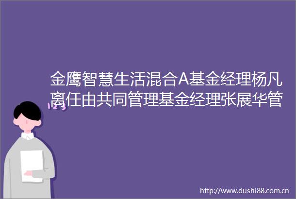 金鹰智慧生活混合A基金经理杨凡离任由共同管理基金经理张展华管理杨凡2023H1至2024H2给基民亏107017万收管理费4261万