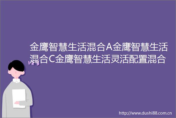 金鹰智慧生活混合A金鹰智慧生活混合C金鹰智慧生活灵活配置混合型证券投资基金更新的招募说明书