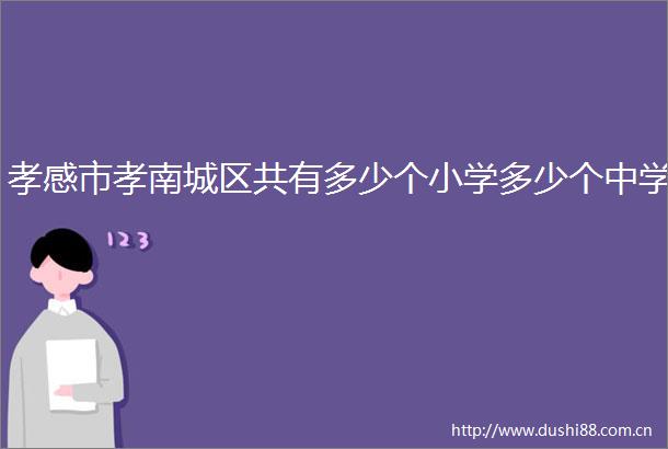 孝感市孝南城区共有多少个小学多少个中学