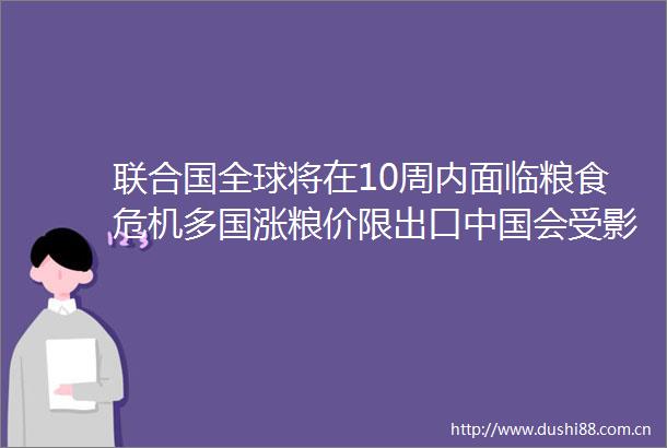 联合国全球将在10周内面临粮食危机多国涨粮价限出口会受影响吗