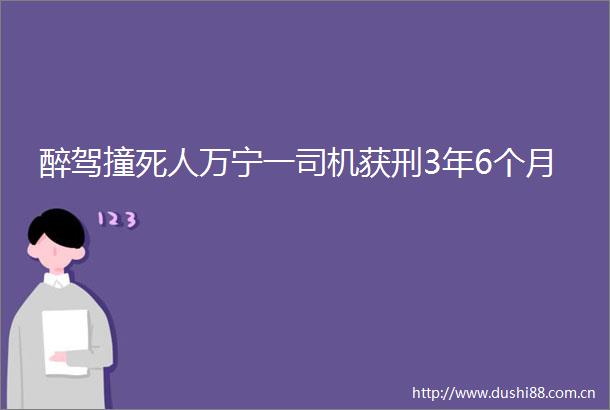 醉驾撞死人万宁一司机获刑3年6个月
