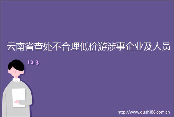 云南省查处不合理低价游涉事企业及人员