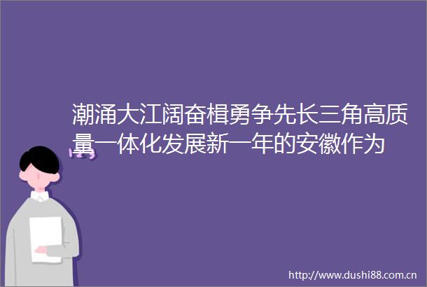 潮涌大江阔奋楫勇争先长三角高质量一体化发展新一年的安徽作为