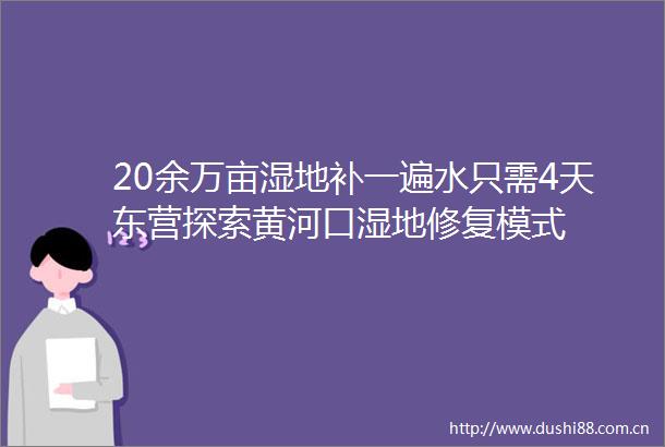 20余万亩湿地补一遍水只需4天东营探索黄河口湿地修复模式