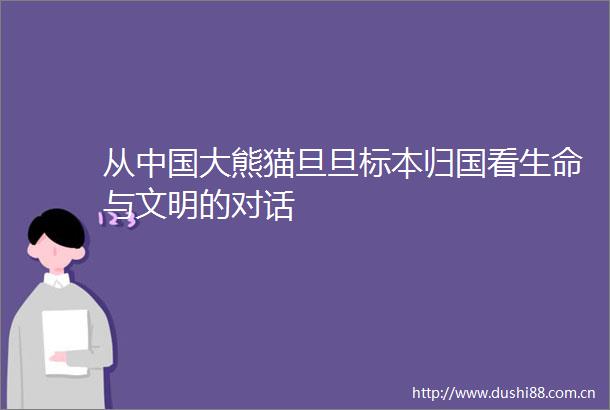 从大熊猫旦旦标本归国看生命与文明的对话