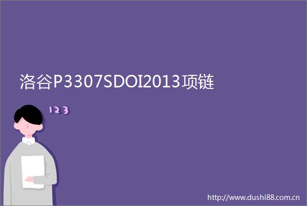 洛谷P3307SDOI2013项链