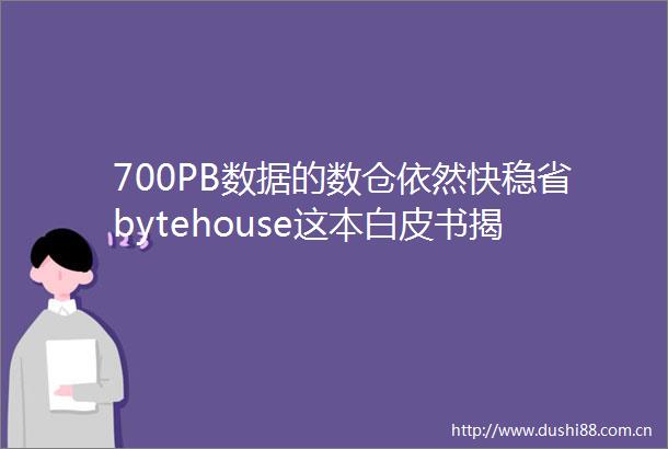 700PB数据的数仓依然快稳省bytehouse这本白皮书揭秘关键（内附下载链接）